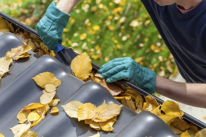Gutter Cleaning Gutter Cleaning