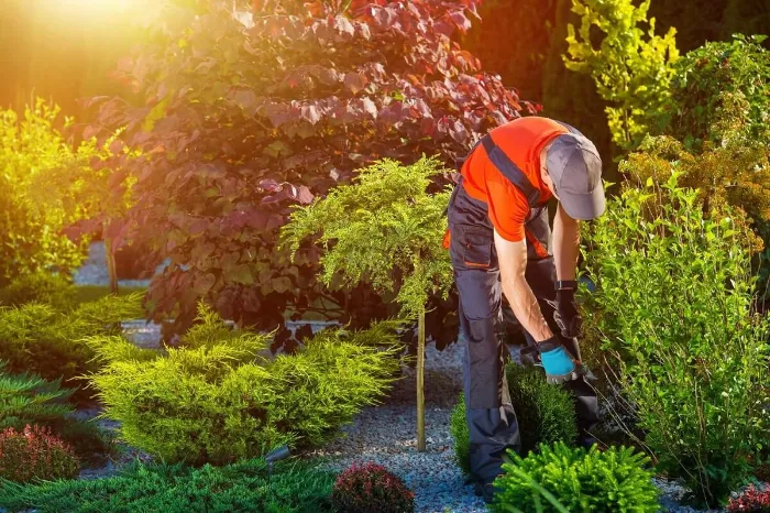 Landscaping Contractor in Columbia, TN