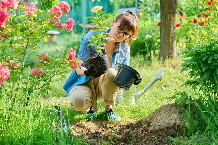 How Gardening Services Help Maintain Healthy Flower Beds Columbia TN How Gardening Services Help Maintain Healthy Flower Beds Columbia TN
