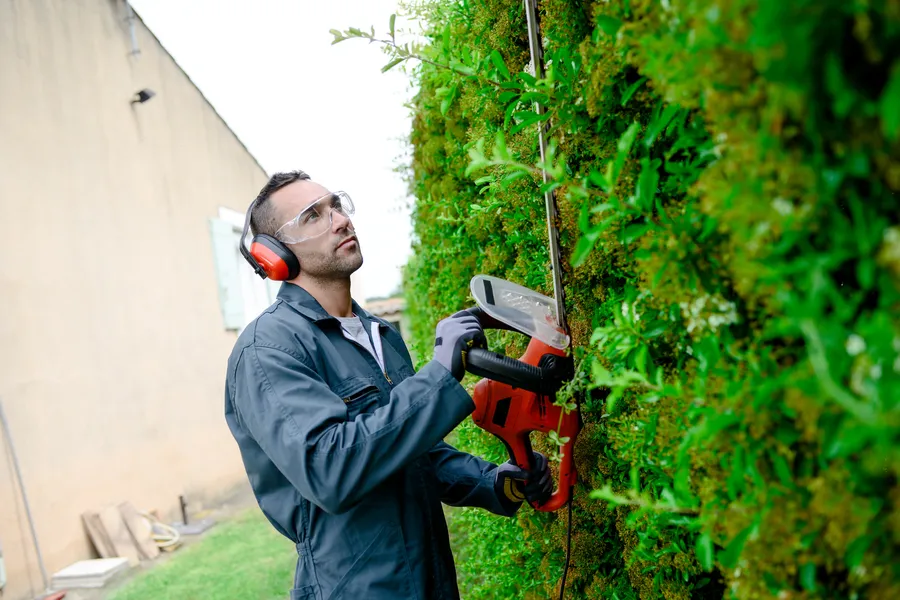 How Often Should You Trim Bushes For Optimal Growth in Columbia TN How Often Should You Trim Bushes For Optimal Growth in Columbia TN