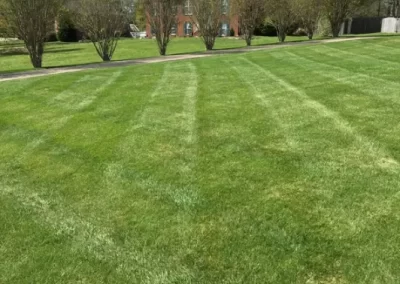 Landscape Contractor