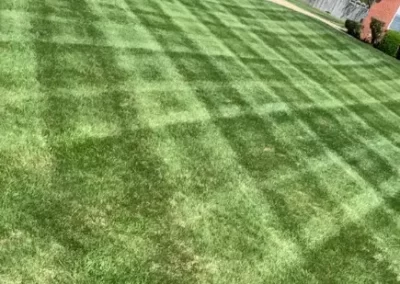 Lawn Care