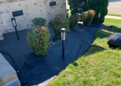 Professional Landscape Services