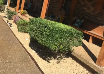 Quality Bush Trimming