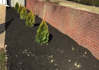 Quality Gardening Service