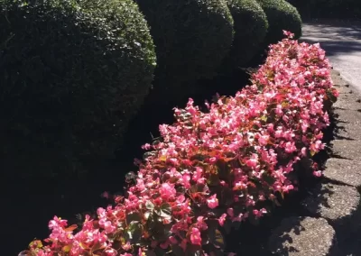 Quality Gardening Services