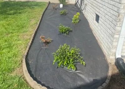 Quality Landscape Service