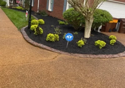 Reliable Landscaping