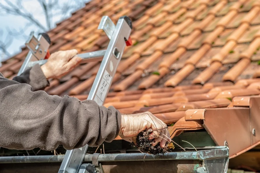 The Role of Gutter Cleaning in Preventing Landscape Damage - Perez Lawn  Service