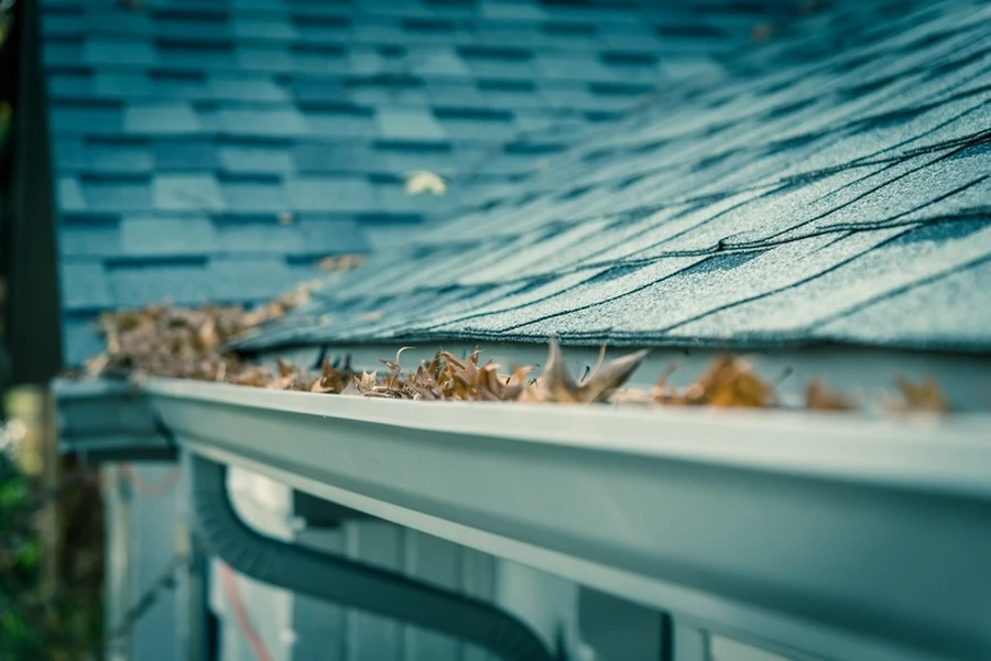 The Role Of Gutter Cleaning In Preventing Landscape Damage in Columbia TN The Role Of Gutter Cleaning In Preventing Landscape Damage in Columbia TN